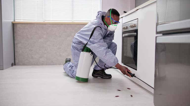 Reliable Sleepy Hollow, CA Pest Control Solutions